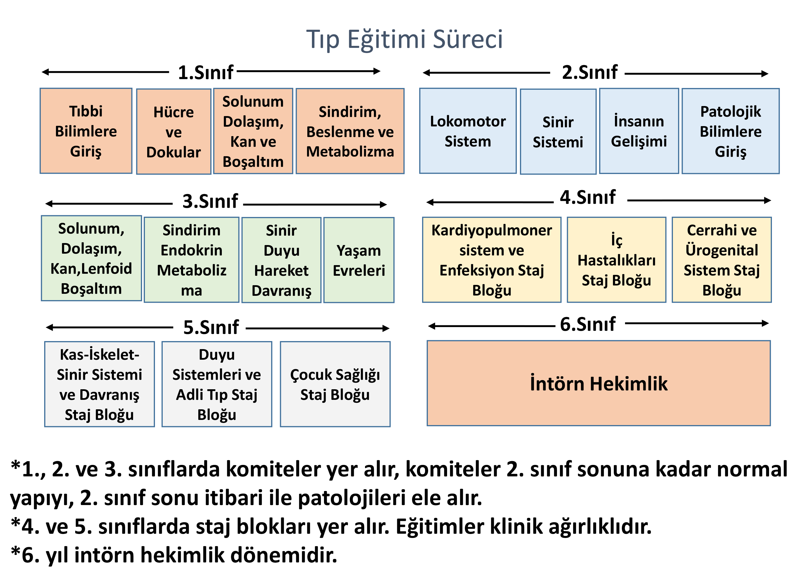 Tıp Eğitim Süreci