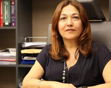 Prof. Dr. Asena Akdemir